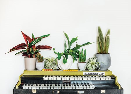 Accessorize any object in your home with the gift of a plant!